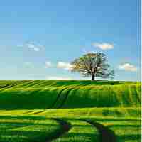 专‌业‍seo教​程‍